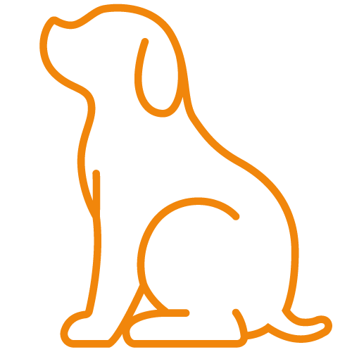 chien.png chien.png